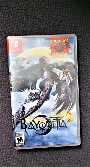 bayo.jpg