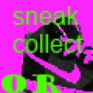 sneakcollector