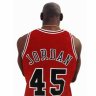 Michael Jordan 45