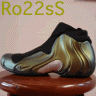 ro22ss
