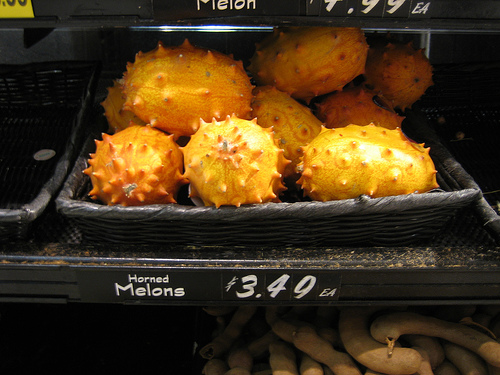 Kiwano_567.jpg