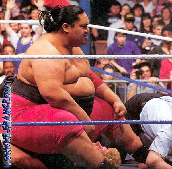 Yokozuna_-_Rodney_Anoia_08.jpg