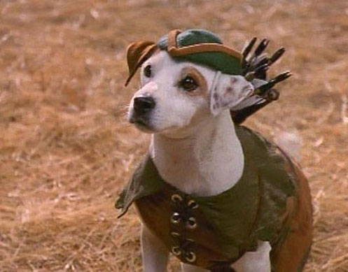 Wishbone_Robin_Hood.jpg