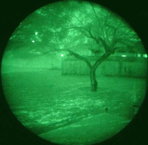 night_vision.htmgen2tree.jpg