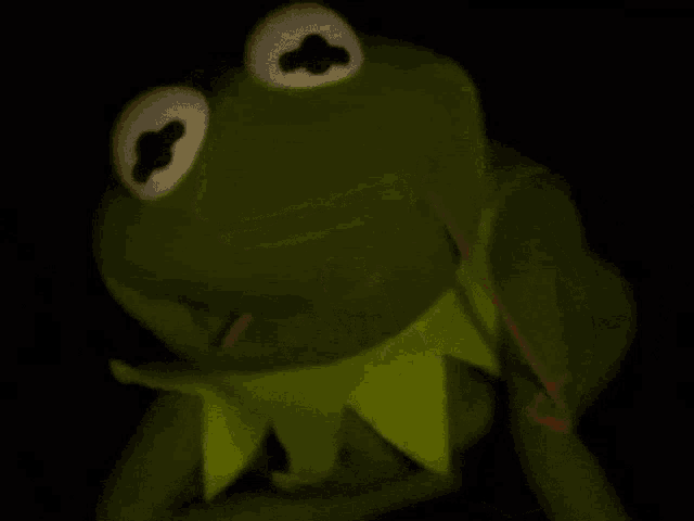 kermit-kermit-the-frog.gif