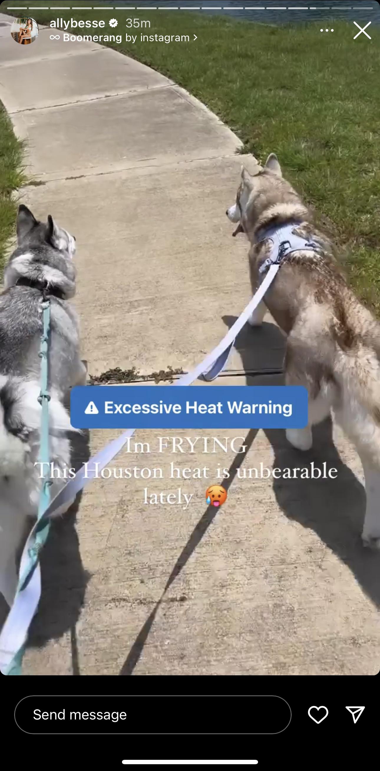 r/gymsnark - ‘The heat is unbearable’ but let me take my HUSKIES for a walk on the hot concrete. Does this girl have any actual brain cells?