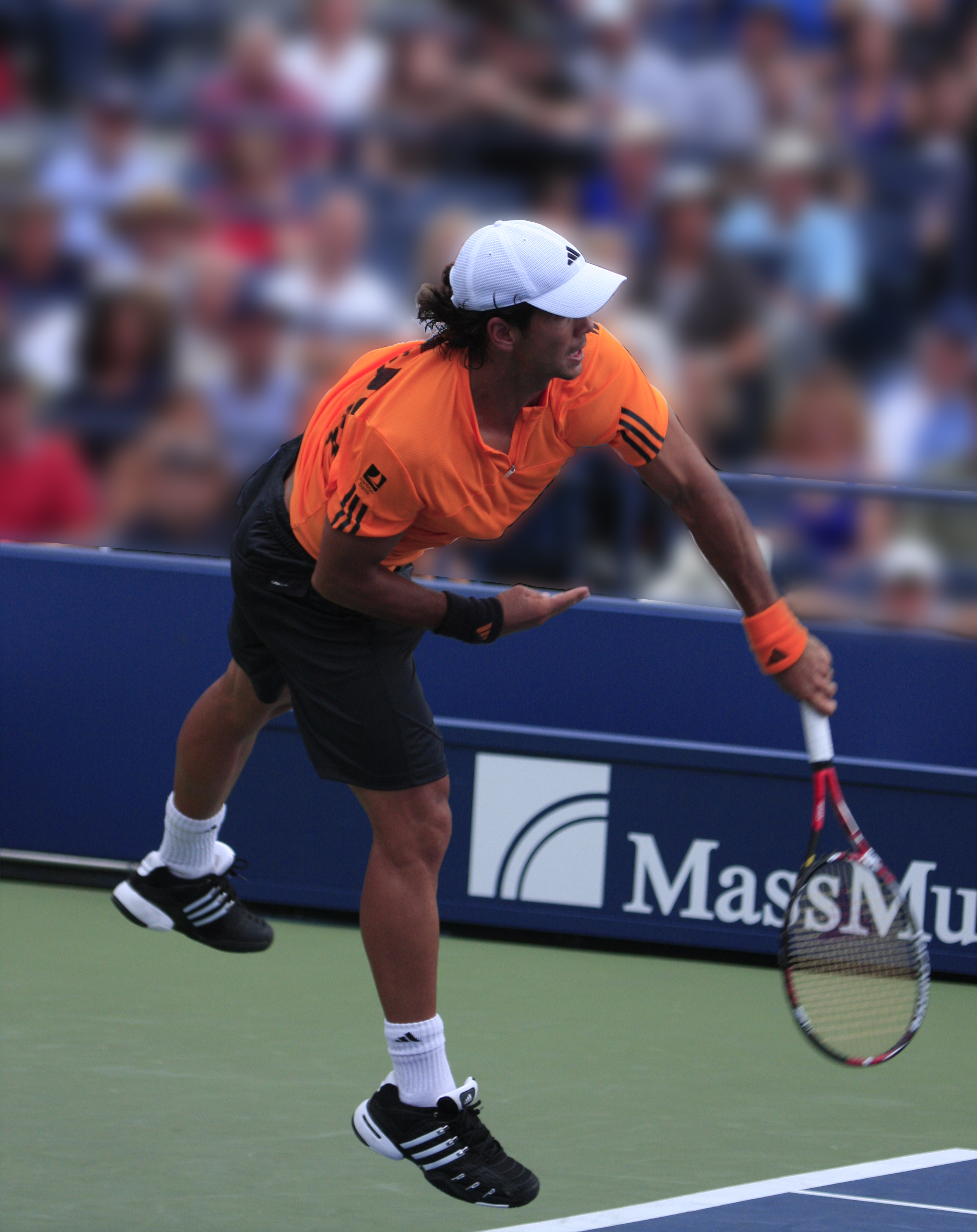 Fernando_Verdasco_Serve.jpg