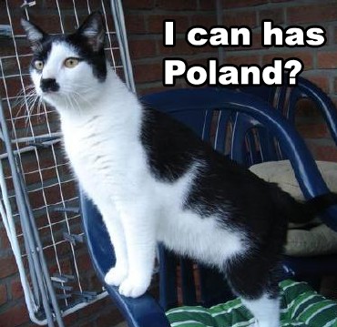 I-can-has-poland-cat-12742360661.jpg