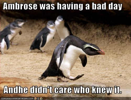 funny-pictures-penguin-has-a-bad-day.jpg