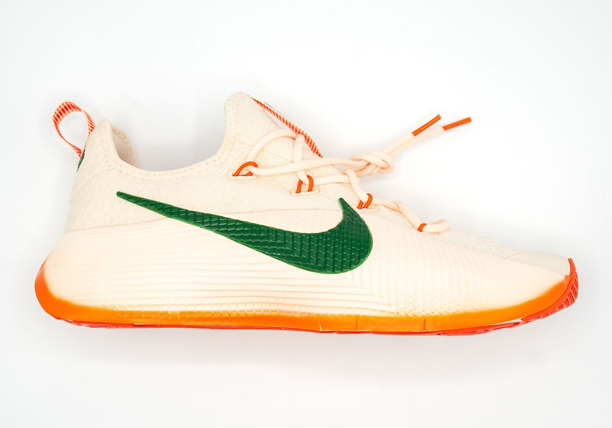 nike-lebron-tr1-famu-pe-2.jpg