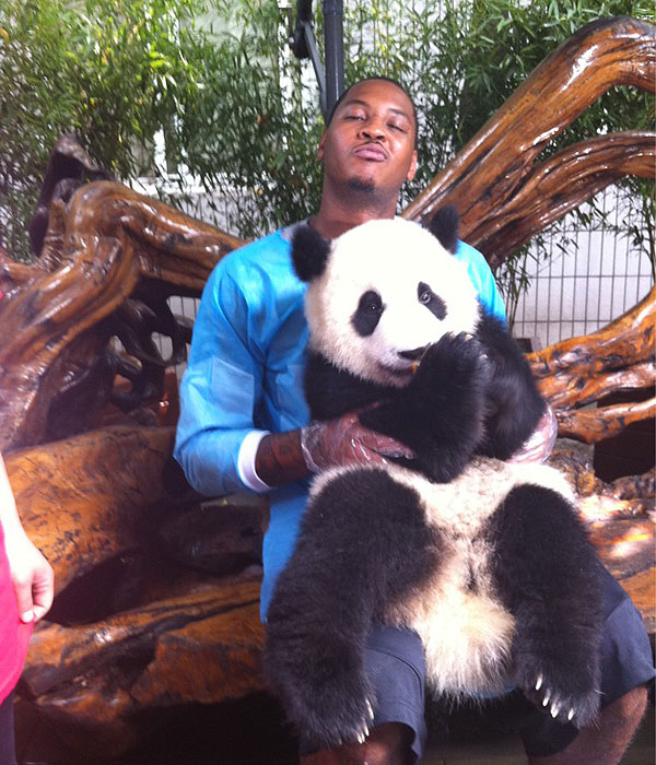 carmelo_anthony_and_his_panda_friend.jpg