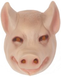 pig-face-mask.jpg