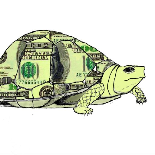 cropped-slow-money-turtle-logo-e1583706541310.jpg