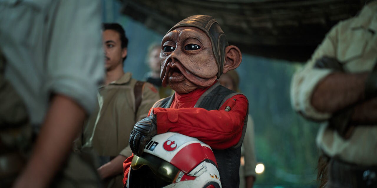 nien-nunb-main_1dbef681.jpeg