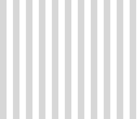 Stripe_-_Grey_1in_shop_preview.png