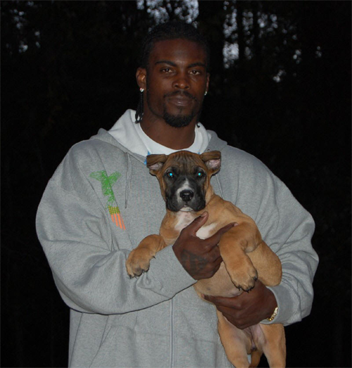 michael_vick_dog.jpg