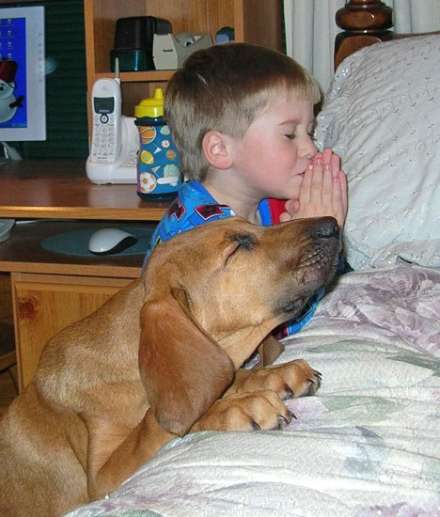 prayer_child+and+dog.jpg