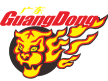 220px-Guangdong_Southern_Tigers.png