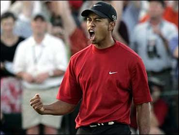 Tiger+woods+yells.bmp