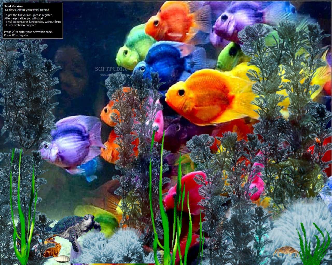 Fishy-Rainbows-Screensaver_2.jpg