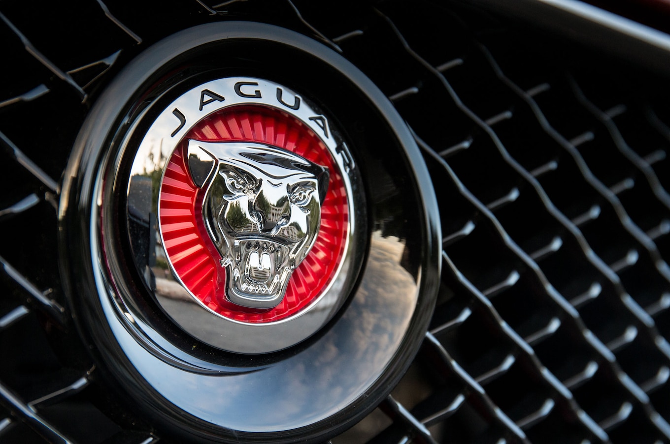 2014-Jaguar-XJR-front-emblem.jpg