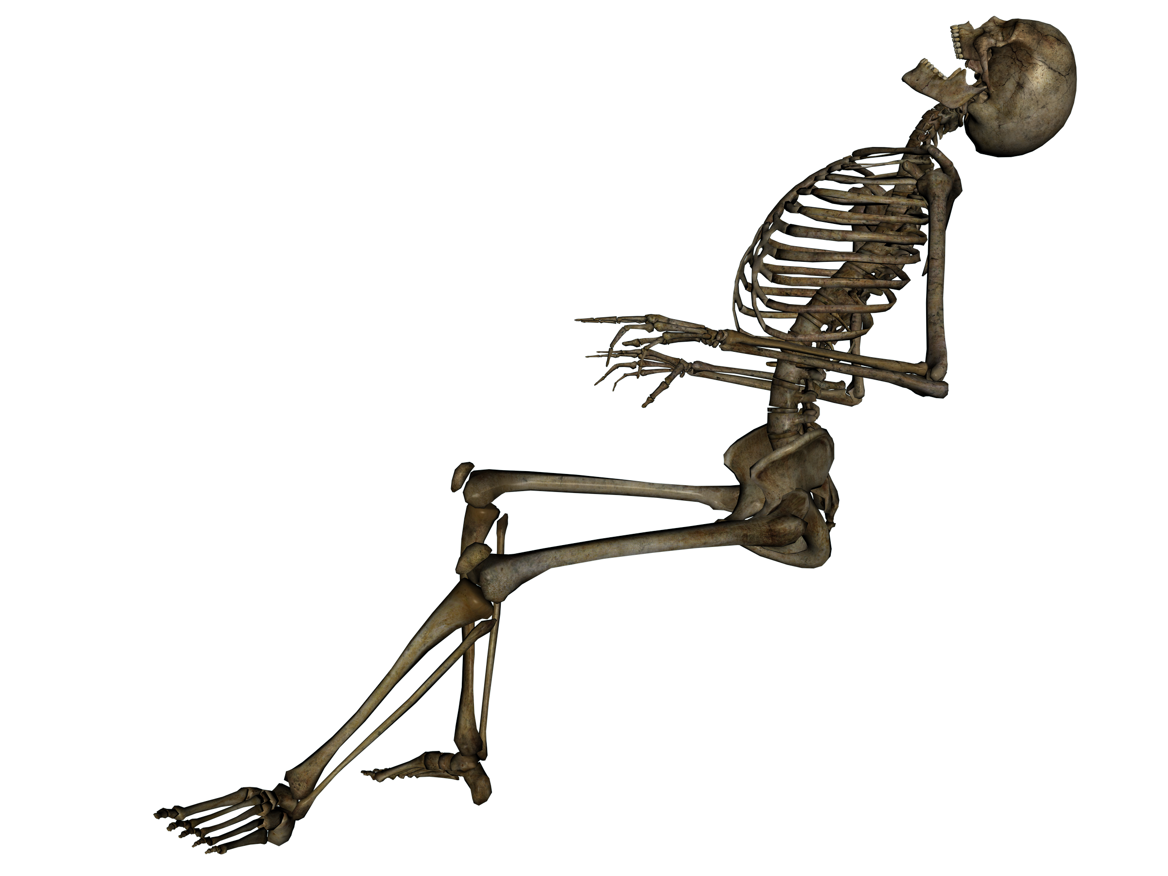 skeleton_dead_by_markopolio_stock.png