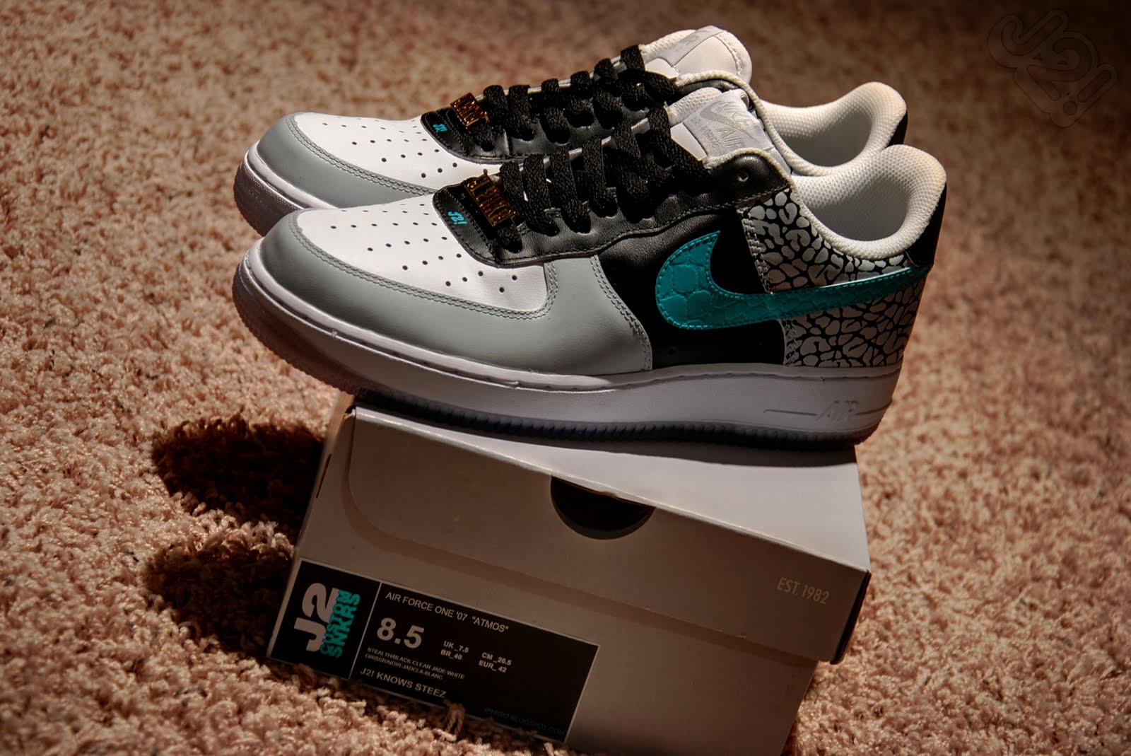 AF1_ATMOS.jpg