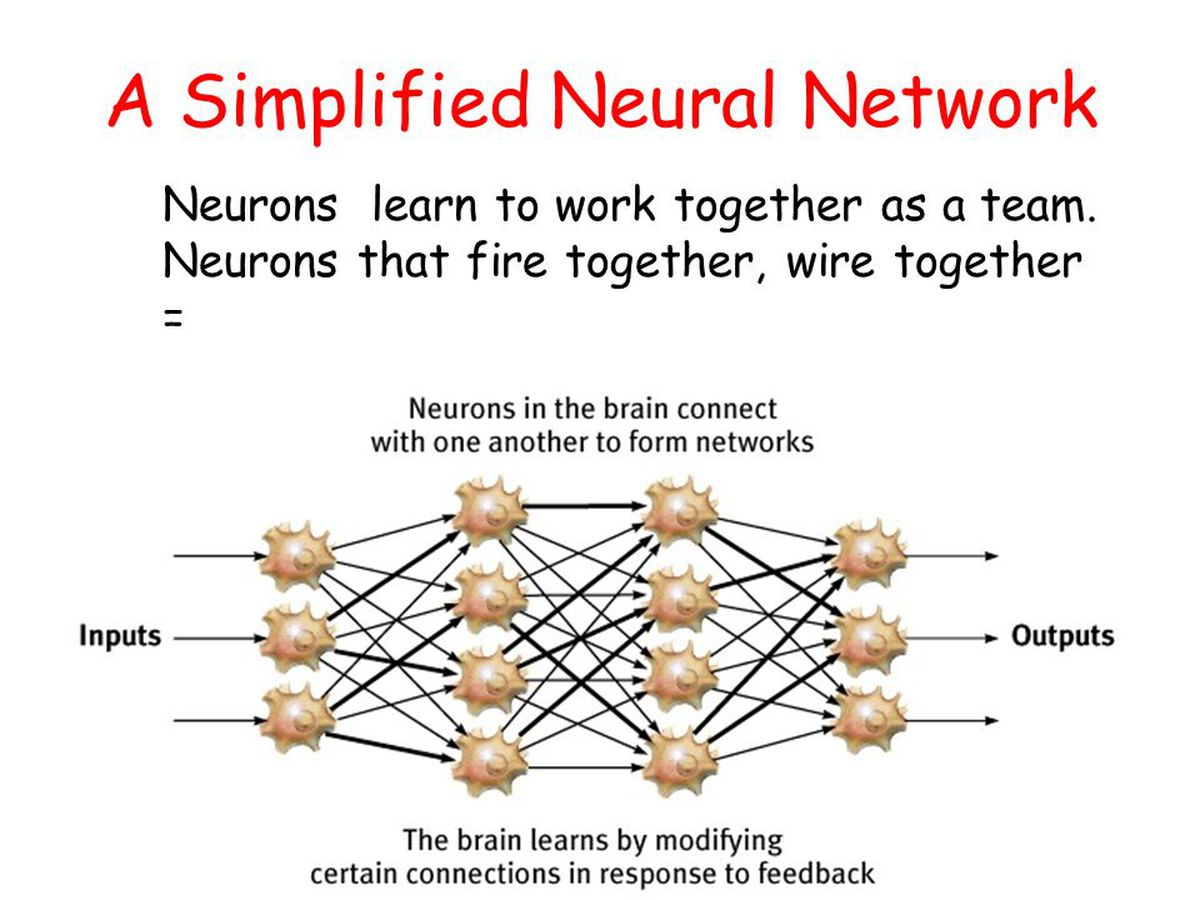 A_Simplified_Neural_Network.jpg