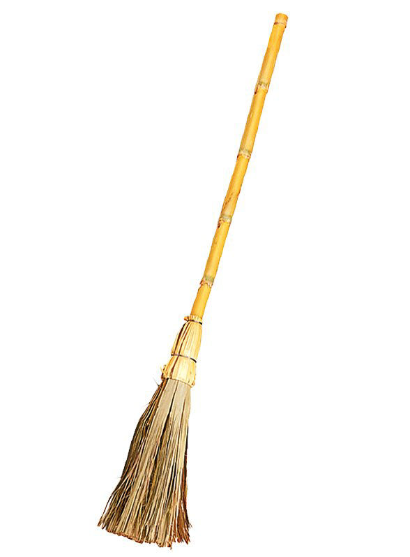 106251-hexenbesen-witch-broom