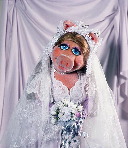 Wedding-piggy.jpg