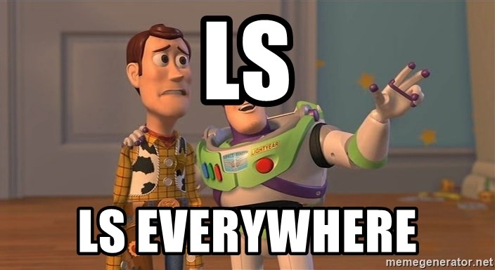 ls-ls-everywhere.jpg