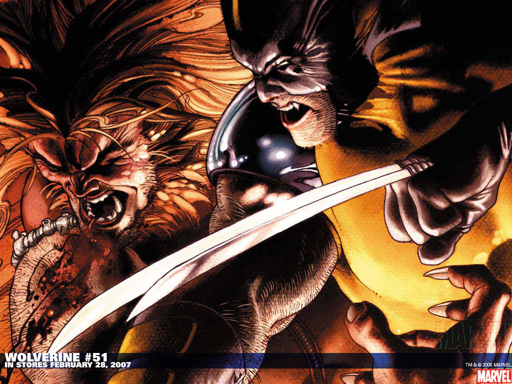 Wolverine-vs-Sabretooth-wolverine-2220532-1024-768.jpg