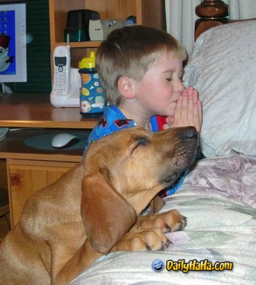 dog_praying.jpg