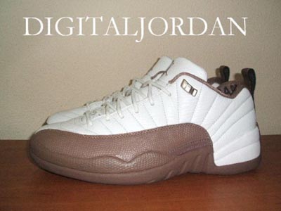 jordan_xii_sample_choc.jpg