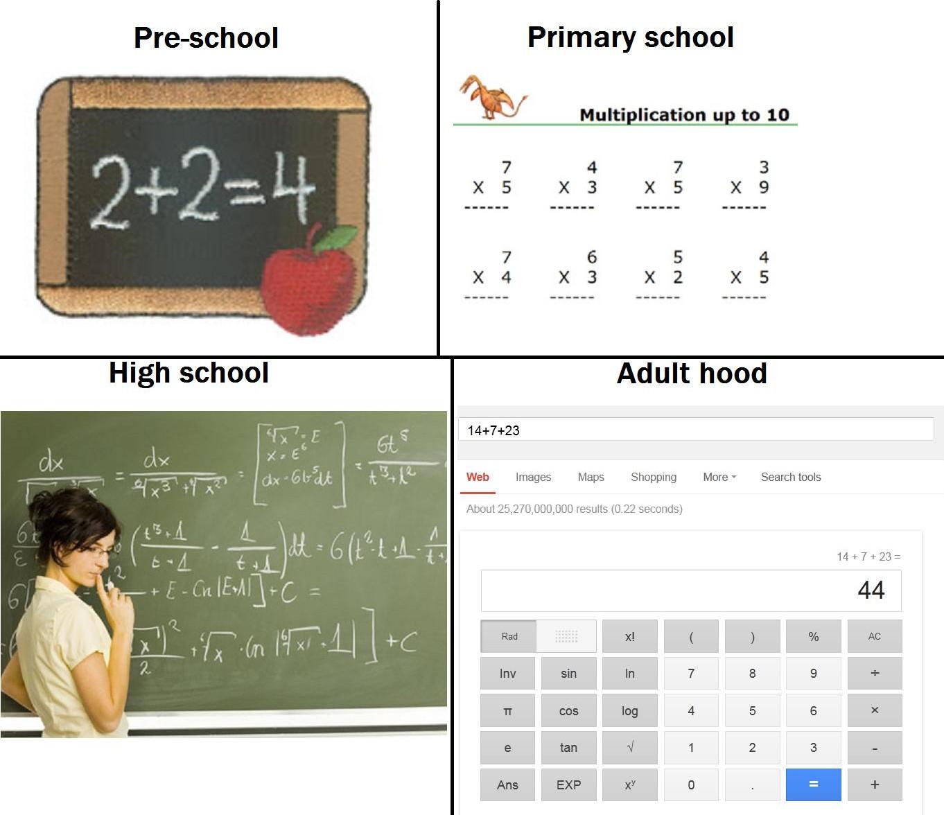 Using-Math-Through-School-Adulthood-Meme.jpg