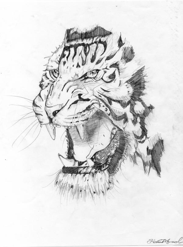 copy_of_white_tiger_by_360waves.jpg