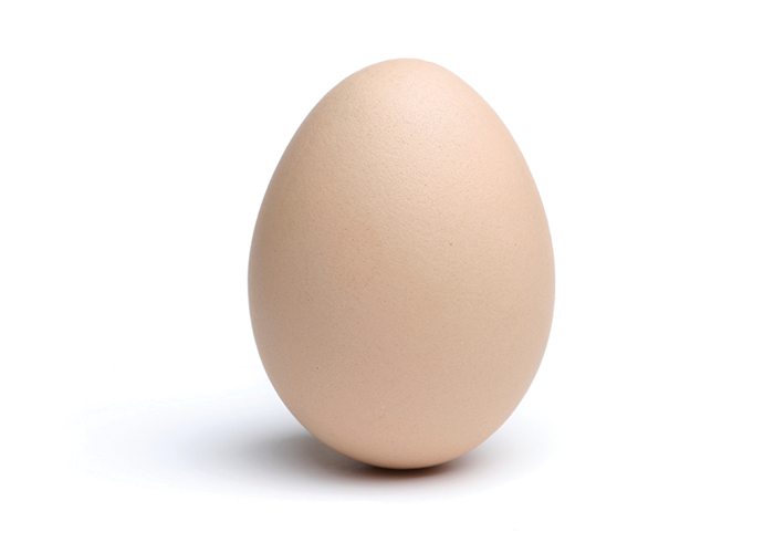 egg_05_by_eggsupon_eggs-dal57qh.png