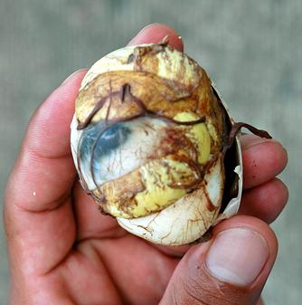 balut2.jpg