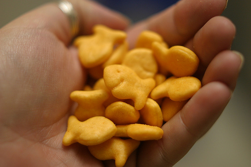 goldfish_cracker.jpg