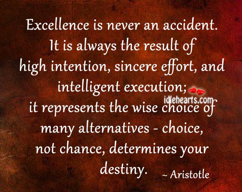 Excellence-is-never-an-accident.-300x238.jpg