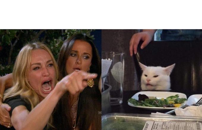 Woman-Yelling-At-Cat.jpg