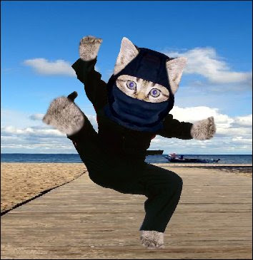 ninjacat.jpg