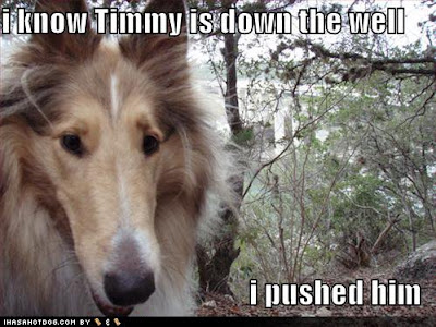 funny-dog-pictures-lassie-pushed-timmy.jpg