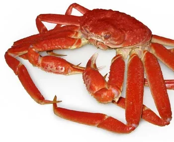 Hot-selling-Live-Dungeness-Crab-Canadian-Frozen.jpg_350x350.jpg