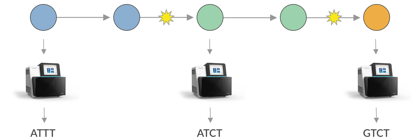 ncov_transmission_chain_sequenced.png