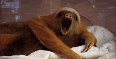 Sloth Yawn GIFs - Get the best GIF on GIPHY