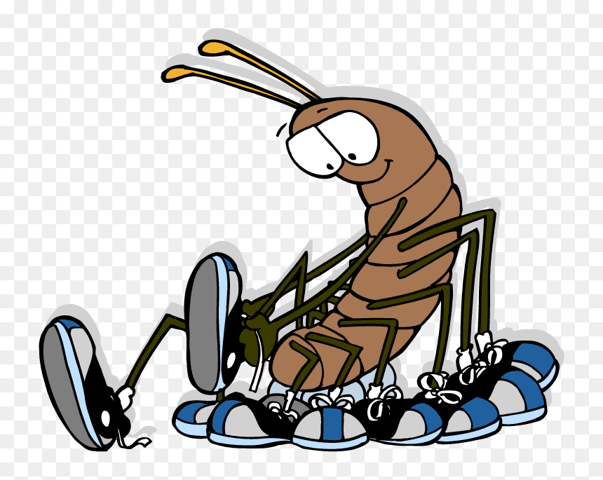 397-3978501_cartoon-centipede-wearing-shoes-clipart-png-download-centipede.png