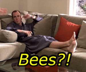 Arrested Development S GIFs - Get the best GIF on GIPHY