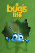 image of A Bug's Life
