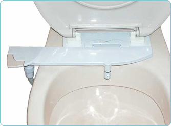 Bidet-on-toilet_307.jpg